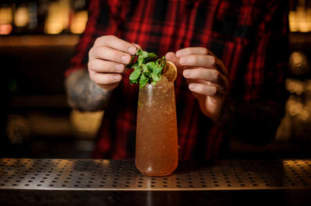 Bartender decorating high ball glass filled with fresh Cobras Fang cocktail with mint leaves and orangeの写真素材