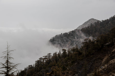 Landscape of mountain slopes in the fog