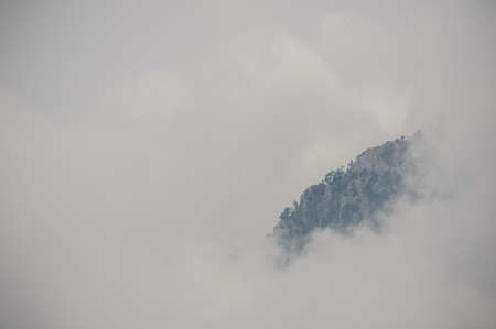 Landscape of the mountain peak covered by trees in the fogの写真素材