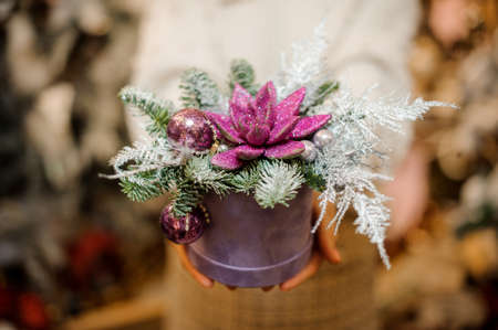 Girl holding a box with green succulent covered with pink glitter decorated with toys and fir-tree branchesの写真素材