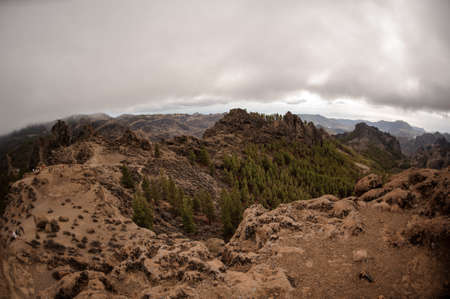 Beautiful view of the mountains in the day time covered with trees under clear skyの写真素材