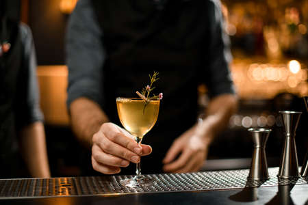 Two bartenders in uniform and an alcohol cocktail with small branchの写真素材