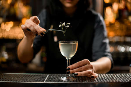 Professional female bartender decorated the murky transparent alcoholic cocktail drink with a twig with flowersの写真素材