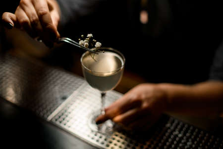 Professional bartender girl decorated the murky transparent alcoholic cocktail drink with a twig with flowers on the bar counterの写真素材