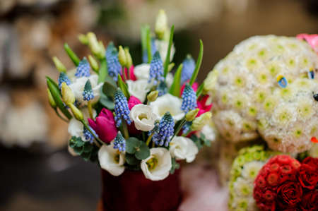 Red round shape box full of tender color white and pink tulips decorated with blue muscari in the background of flower shopの写真素材