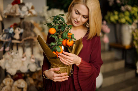 Beautiful woman with tangerine tree in potの写真素材