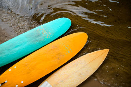 Several surfboards lie on the shore near the water.の写真素材