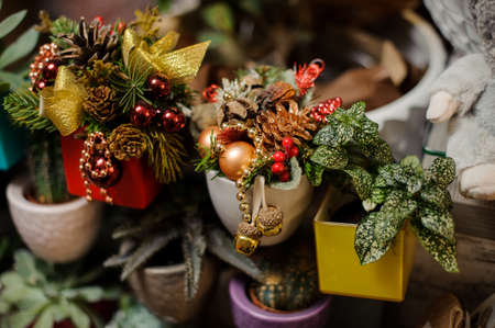 Close-up view of several pots with plants and decorative Christmas compositionsの写真素材