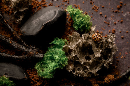 Close-up of extraordinary molecular modern cuisine dishの写真素材