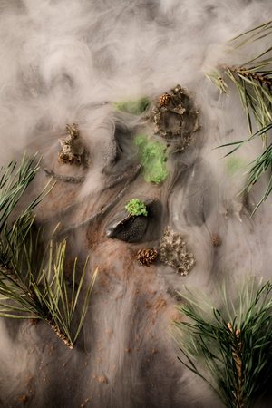 magnificent view of pine branches, tree sticks and cones in dense fog