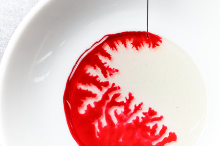 top view of porcelain plate in which red liquid spreads in beautiful incredible patterns.の写真素材