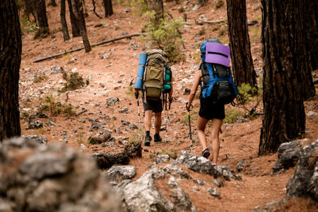 rear view on group of hikers walking by lycian way along cairn marking trail in forestの写真素材