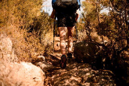 rear view on legs of woman tourist with backpack walking on trail.の写真素材