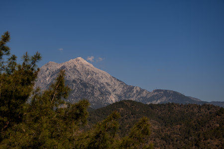 Wonderful mountain landscape with hills and evergreen coniferous trees and clear blue sky. Nature outdoor travelの写真素材