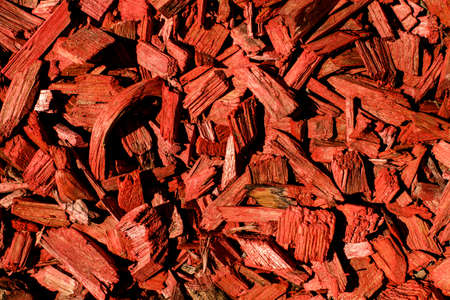 Close-up top view of many small bright red wood chips.の写真素材