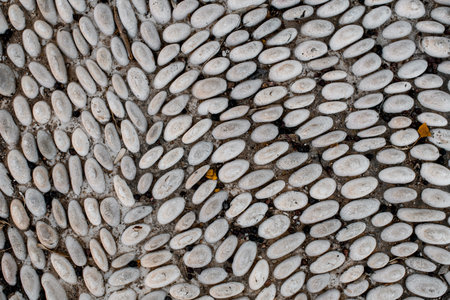 Beautiful view on white small pebbles stones paved in a row on road. Mosaic pebbles.