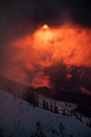 Wonderful bright sunset sky and winter mountain landscape with snow covered pine trees