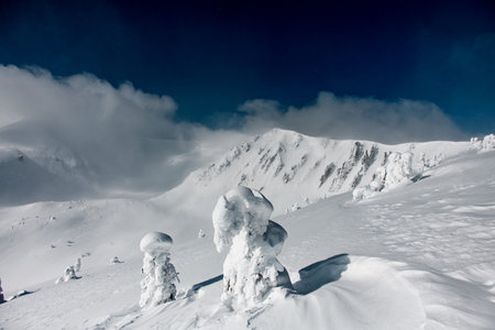 Wonderful view on mountain slopes covered with white powder snow and blue sky