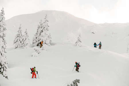 Tourists with splitboards walks on snow, extreme ascent and ski touring.の写真素材