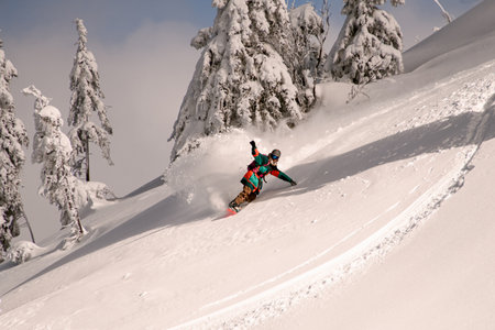 Young athletic snowboarder in bright multicolored overall riding down on splitboard splashing snowの写真素材