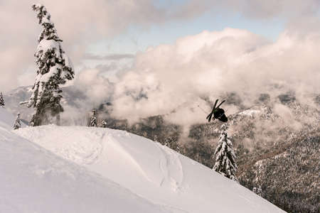 freerider skilfully jumping from snow-capped mountain slope on background of trees and cloudy skyの写真素材