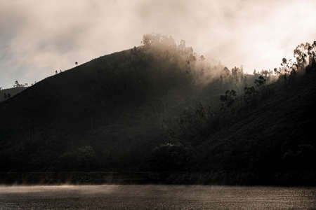 beautiful landscape of hills with trees near the water covered with fogの写真素材