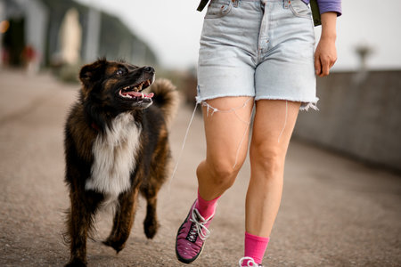 close-up of dog with open mouth walking near legs of its owner