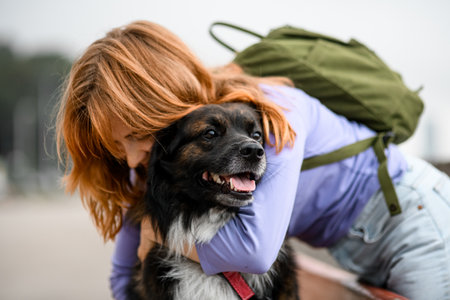 Selective focus on shaggy dog which young woman huggingの写真素材