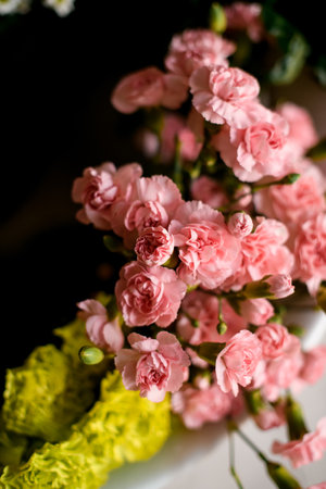 Close-up top view of bunch of fresh pink carnation flowers.の写真素材