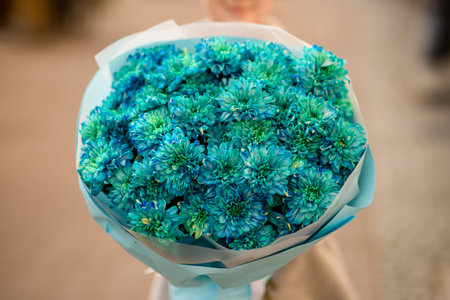 close-up of large beautiful bouquet of blue chrysanthemums in wrapping paperの写真素材