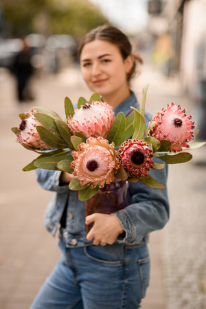 great bouquet of Protea artichoke flowers in hands of woman.の写真素材
