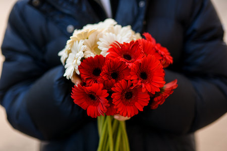 Closeup view of fresh red and white gerbera flowers bouquet in womans handsの写真素材