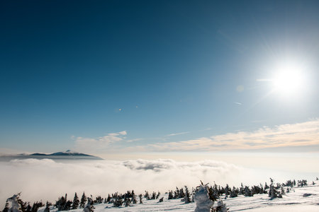 An incredible view of a snowy mountain slope with coniferous evergreen trees and a mountain peak visible through the clouds in the background. Bright sunlight illuminates everything around. Great weather for skiingの写真素材