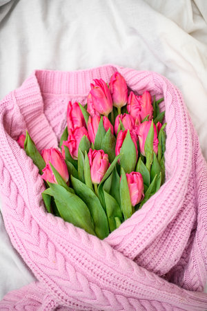 Tulips wrapped in a soft pink knitted sweater lying on a white sheetの写真素材