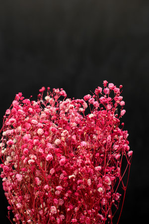 Elegant red flowers on a black background in japanese flower art Ikebanaの写真素材