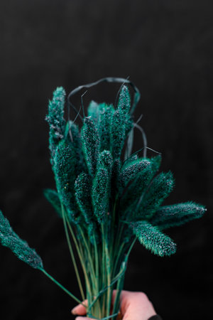 Fluffy malachite flowers in a hand on a dark backgroundの写真素材