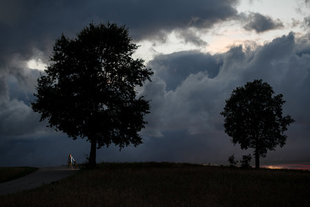 Small figure of a young girl with a longboard next to two huge treesの写真素材