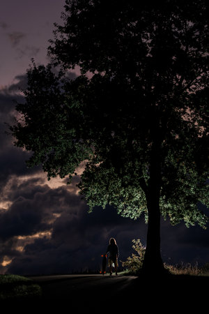 Silhouette of a young girl with a longboard next to a huge treeの写真素材