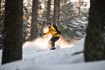 Snowboarder free rider rides down in winter forest, amidst huge snow-covered fir trees. Awesome freeride in a winter wilderness.の写真素材