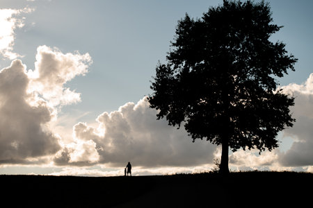 Leaning on longboard, girl finds solitude by lone tree.の写真素材