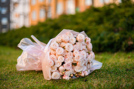 Wonderful bouquet of pink roses lies on the green grass of the park lawnの写真素材