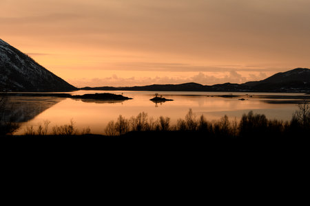 View of the river, from which a small island with several trees peeks outの写真素材
