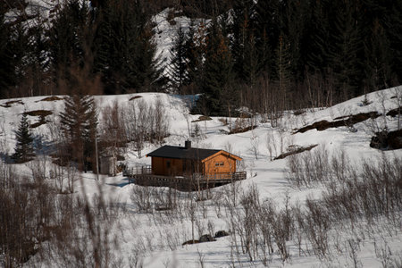 House in the middle of the forestの写真素材