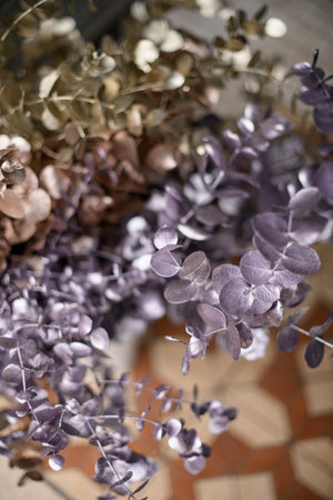 Close-up photo of eucalyptus branches with silver and gold leavesの写真素材