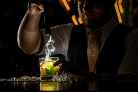 The bartender shook the cocktail with lemon wedges and mint leaves in the glassの写真素材