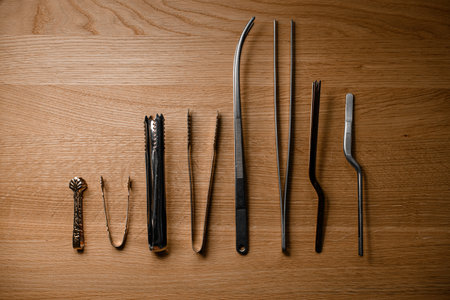 Close up of eight steel tweezers of different sizes and shapes for holding rich ingredientsの写真素材