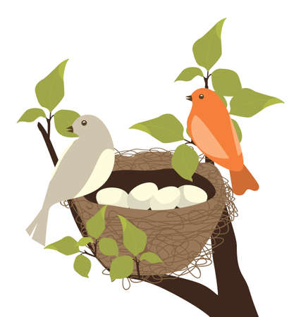 Birds Nestのイラスト素材