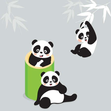 Pandaのイラスト素材