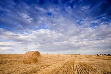 Summer hay bale in a ungarian field, and beautiful landscapeの写真素材