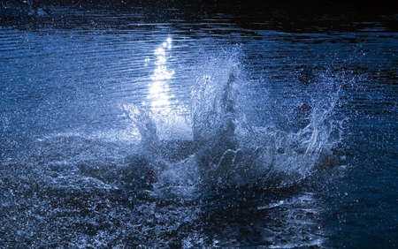WATER SPLASHの写真素材